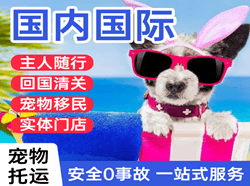 南洋空运公司国际宠物托运 【国